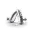 Phonak Audeo Life P70 / Audeo P70-RL
